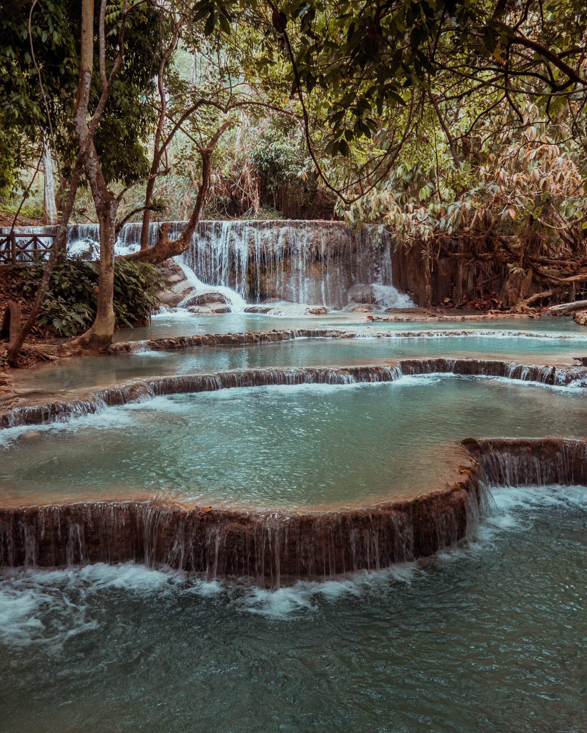 Laos'taki Kuang Si Şelalesinin Gizli Havuzu